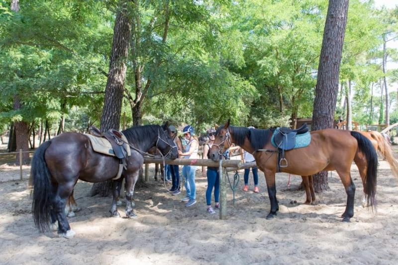 Camping Officiel Siblu La Pignade Ronce-les-Bains Kültér fotó