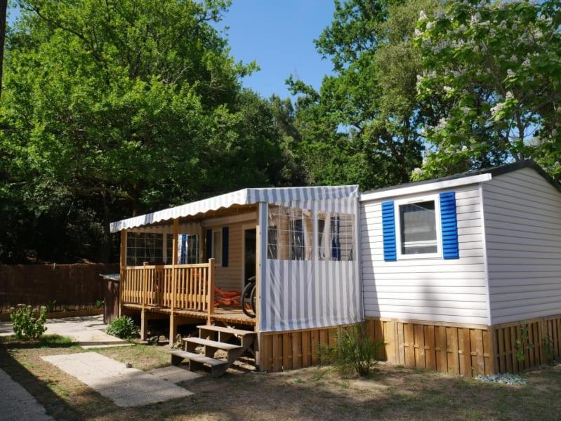 Camping Officiel Siblu La Pignade Ronce-les-Bains Kültér fotó