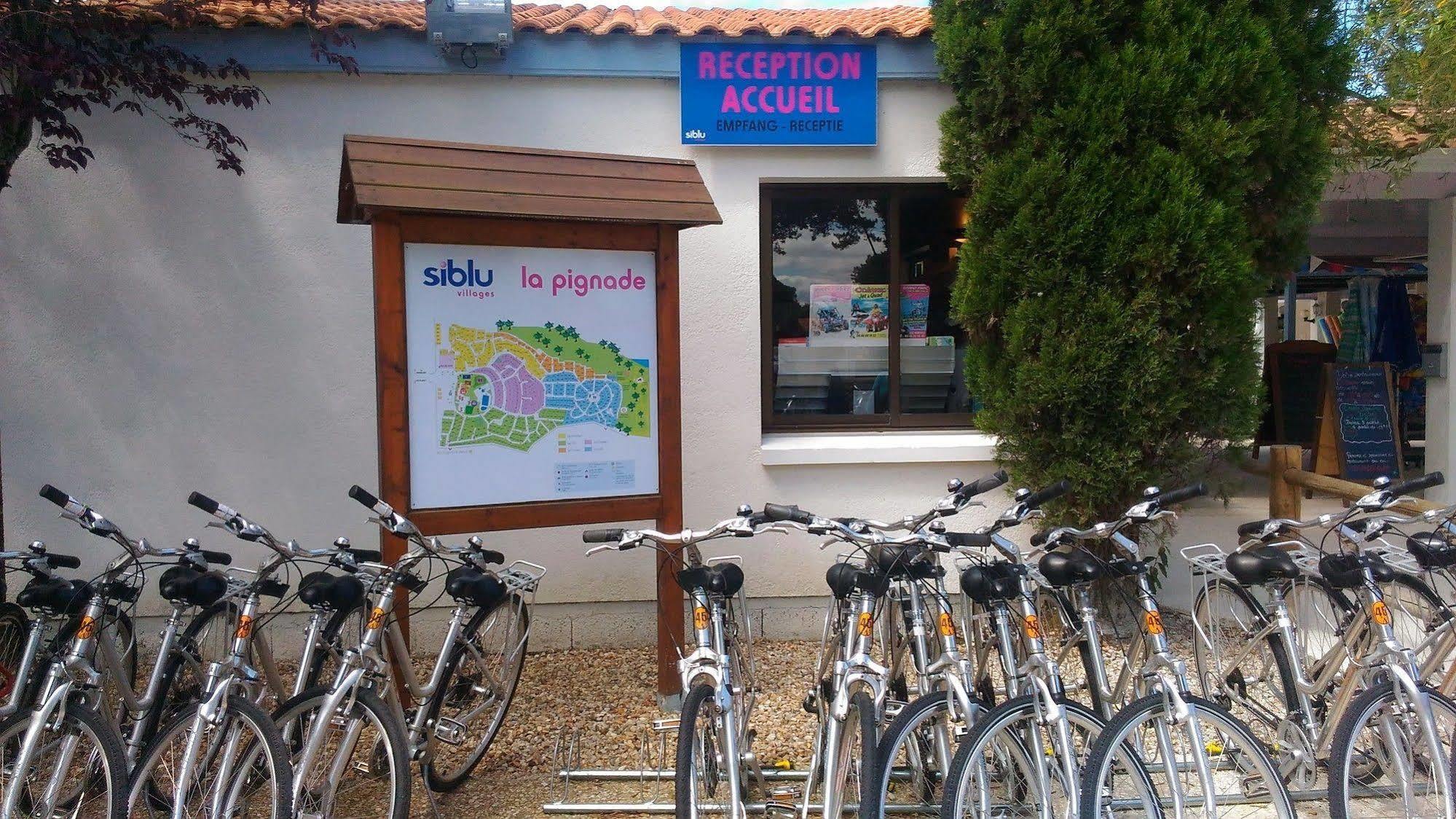 Camping Officiel Siblu La Pignade Ronce-les-Bains Kültér fotó